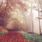 VanGo – Our Adventures in the Van