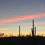 Yuma to the Sanoran desert