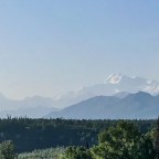 Homer Back to Cantwell