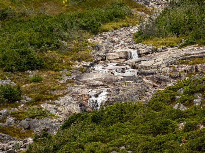 0098_0011_P1010048_Alaska