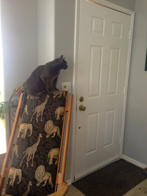 0113_0001_IMG_7326_Alaska